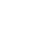 Game Developer